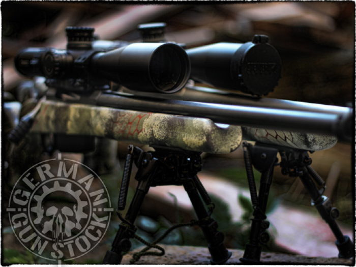 Preview: "RAPTOR" - Remington 700 / Bergara B14